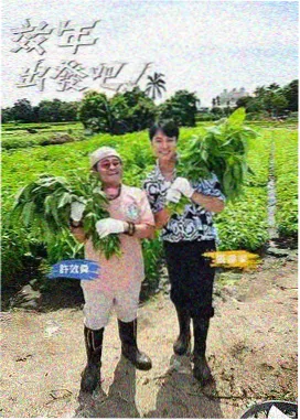 日韩综艺娱乐 脱口秀